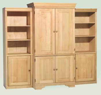 Entertainment and Storage Unit